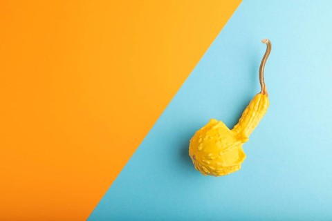 Decorative orange Pumpkin on blue and orange pastel paper background, top view, flat lay, copy