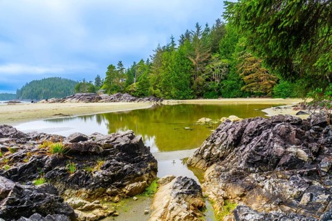 Calm green water reflecting trees and sky at mackenzie beach in tofino, a district municipality on