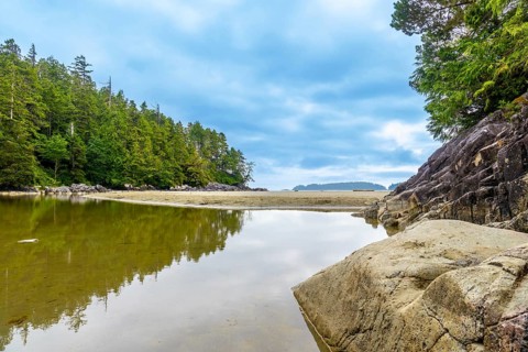 Tranquil ocean inlet reflecting trees and sky on a cloudy day in tofino, a popular tourist