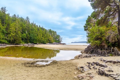 Calm water reflects lush trees and cloudy sky at mackenzie beach, a popular destination in tofino,