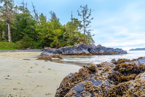 Ocean waves washing ashore on a sandy beach in tofino, british columbia, with rocky outcrops,