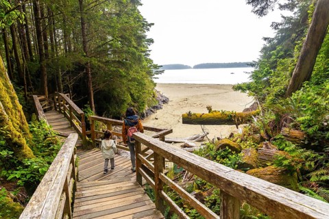 Tourists walking down wooden stairs leading to a beautiful sandy beach surrounded by lush
