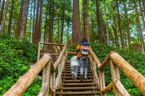 Mother and child are enjoying a leisurely hike, ascending a wooden staircase amidst the tranquil
