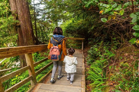 Mother and son walking up wooden steps in lush rainforest trail, enjoying nature and fresh air in
