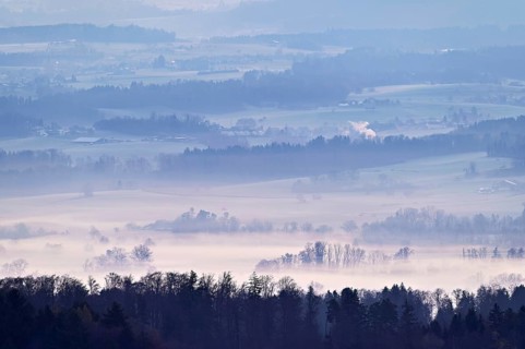 Meadows and trees in early fog, Reusstal, Merenschwand, Canton of Aargau, Switzerland
