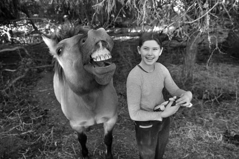 Laughing young girl next to her whining horse, black and white, Othenstorf. Mecklenburg-Vorpommern,