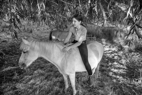 Young girl sitting on her white mare under a willow (Salix), black and white, Othenstorf,