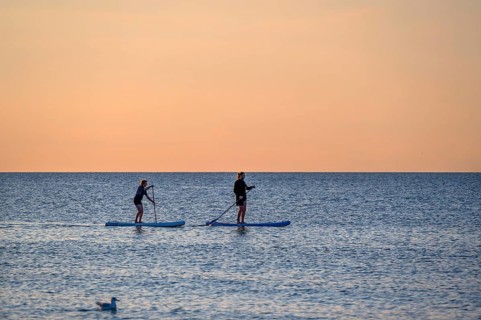 Stand-up paddling on the Baltic Sea in the evening, Ahrenshoop, Darß, Mecklenburg-Western