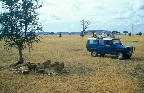 Safari participants watch lions in Serengeti, Tanzania, Africa, June 2000, vintage, retro, old,