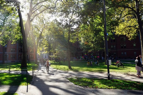 Passers-by, students in Harvard Yard, sunbeams, campus, Harvard University, Cambridge, Greater