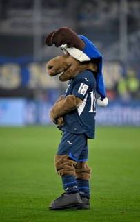 Mascot Hoffie TSG 1899 Hoffenheim in Christmas outfit with blue Christmas hat PreZero Arena,