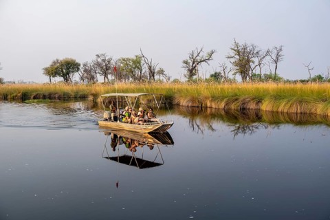 Safari by boat, tourist observing African elephant (Loxodonta africana) in the swamp, Xakanaxa
