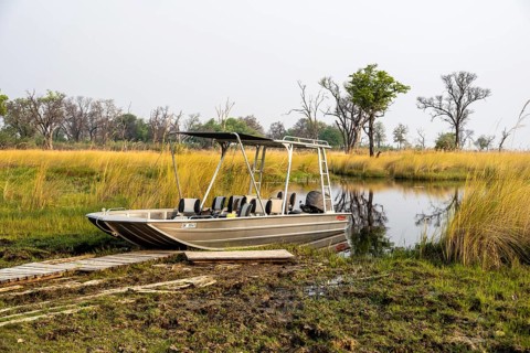 Safari by boat, Xakanaxa Lagoon, Okavango Delta, Moremi Game Reserve, Botswana