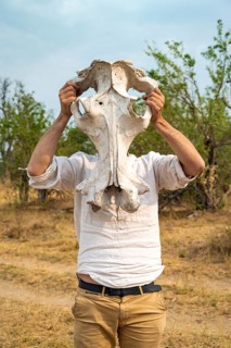 Man holding a hippopotamus skull in front of his head, Botswana