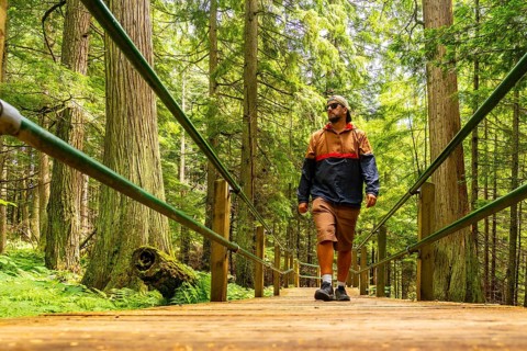 Male tourist in casual clothing and sunglasses walking along the hemlock grove boardwalk,