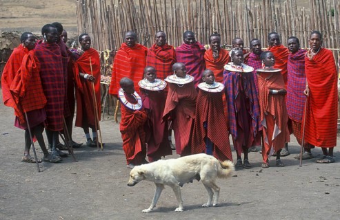 Maasai men and girls in their village, dog, Ngorongoro crater, Tanzania, Africa, June 2000,