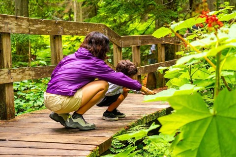 Mother and son crouching on wooden boardwalk trail, exploring nature and pointing at something