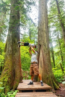 Father playfully lifting son high while exploring the giant cedars boardwalk trail in mount