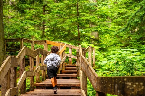 Young child running up wooden steps on the giant cedars boardwalk trail, surrounded by lush green
