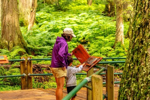 Mother and son learning about nature at an information kiosk on the hemlock grove boardwalk in