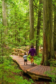 Mother and son walking on a wooden boardwalk trail surrounded by lush green forest in the giant