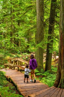 Mother and son enjoying a leisurely walk along a wooden boardwalk, surrounded by towering trees and