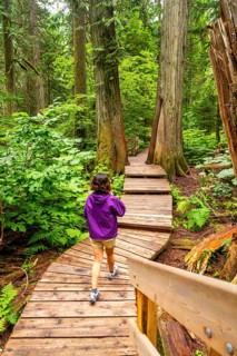 Tourist wearing a purple jacket is enjoying a peaceful walk along a wooden boardwalk path,