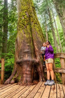 Mother and son are enjoying breathtaking view of giant cedar tree covered with moss while standing