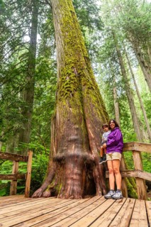 Mother holds her child while standing on a wooden boardwalk, marveling at a massive, moss covered