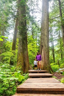 Mother and son enjoying a hike through a lush forest, standing on a wooden boardwalk amidst