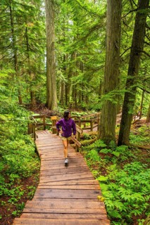Female hiker walking down a wooden boardwalk through a lush green forest of giant cedar trees,