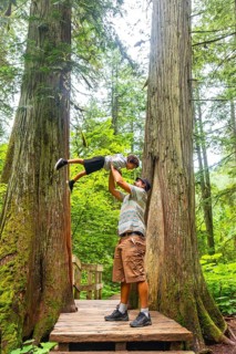 Father playfully lifting son in the air among towering ancient cedars on the giant cedars boardwalk