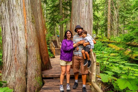 Tourists enjoying hiking in the amazing giant cedars boardwalk trail, surrounded by lush vegetation