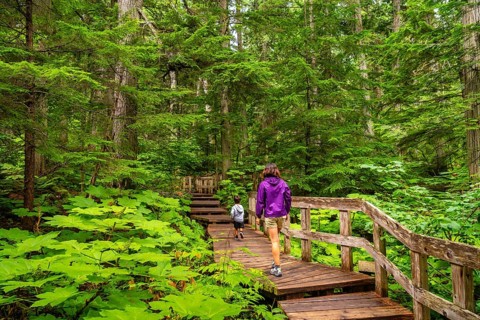 Mother and son enjoying a leisurely walk along the giant cedars boardwalk trail, surrounded by lush