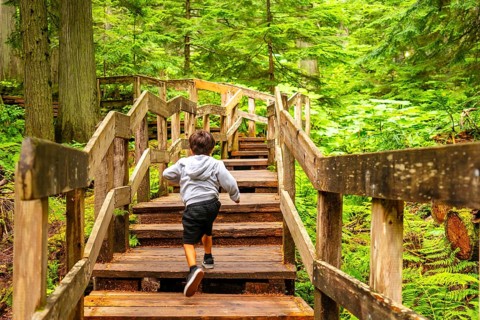 Young boy running up wooden stairs surrounded by lush green forest on giant cedars boardwalk trail