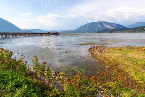 Shuswap lake reflecting a clear blue sky and framed by majestic mountains, featuring a charming