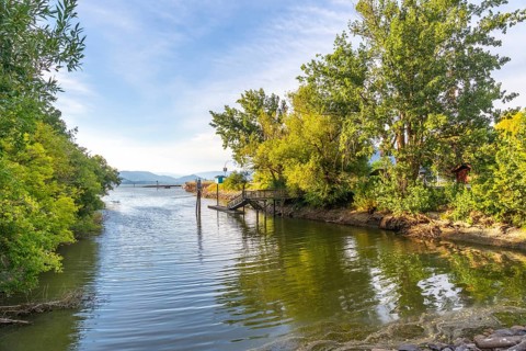 Tranquil morning view of a wooden pier extending into calm shuswap lake, surrounded by lush green