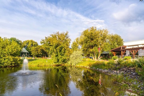 Tranquil pond with a fountain in a public park in salmon arm, british columbia, canada, surrounded