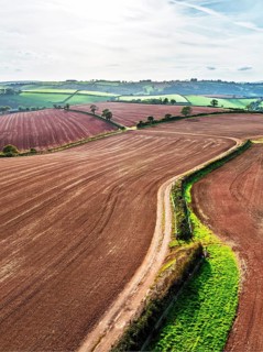 Colours of Devon Farms and Fields over Paignton and Berry Pomeroy from a drone, Totnes, England,