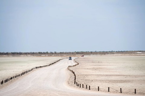Road on the Etosha pan, salt pan, Etosha National Park, Namibia