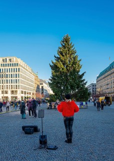 Street musician with violin at Brandenburg Gate, daylight photo, Berlin, Germany