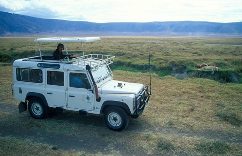 Safari, tourists watch a lioness resting next to her prey from a safari vehicle in the Ngorongoro