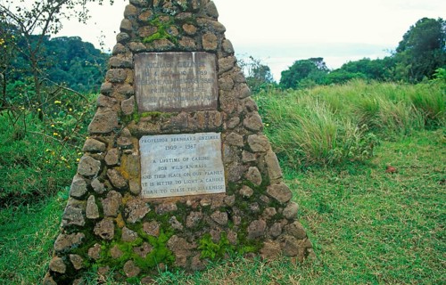 Memorial plaques for Michael Grzimek and his father Professor Bernhard Grzimek on the edge of the
