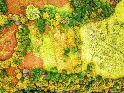 Top Down view of Autumn colours over River Wye and Road A470 from a drone, Llanidloes, Powys,