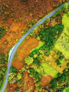 Top Down view of Autumn colours over River Wye and Road A470 from a drone, Llanidloes, Powys,