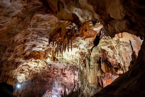 Stalactites and stalagmites, rock formations in a stalactite cave, Grotta del Fico, Gulf of Orosei,