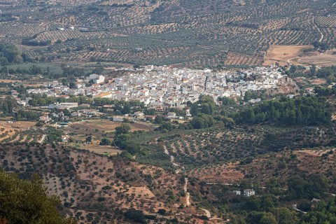 View over village El Burgo, fields with olive trees, mountain range Sierra de las Nieves, Parque