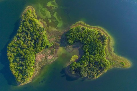 Aerial view, drone photo: Steinwerder and Bollenwerder islands, Carwitzer See, Carwitz, Feldberger