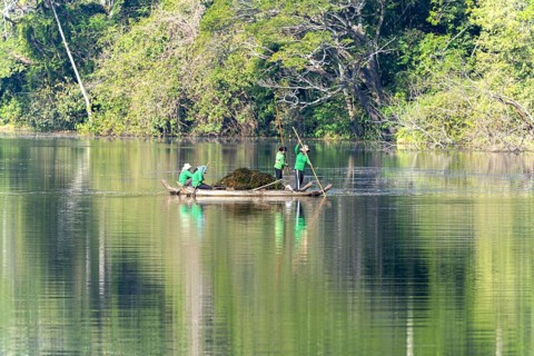 Women harvest seagrass, water channel in Angkor Thom, UNESCO World Heritage Site, Siem Reap,