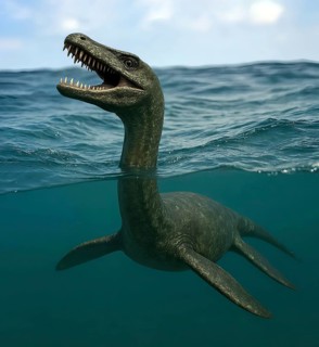 A dinosaur, a plesiosaurus in ocean water, fossil, extinct, prehistoric, Cretaceous, dinosaur,